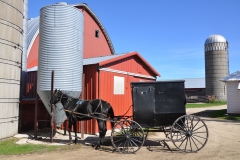 Amish Farm 1